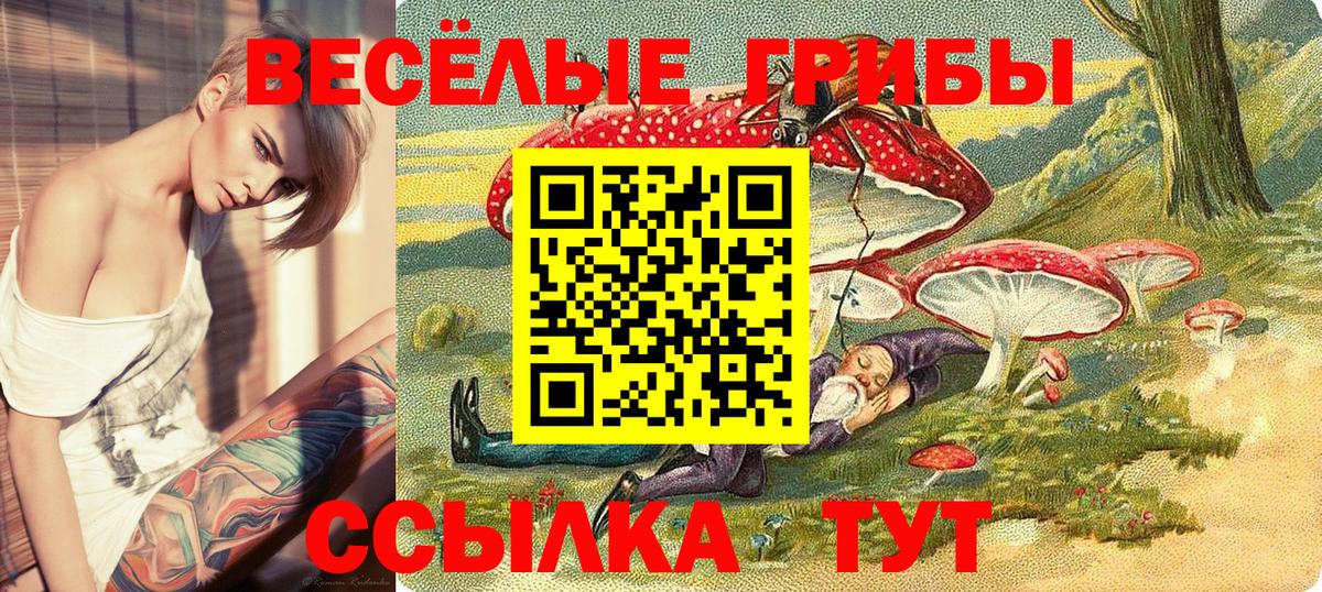 Галлюциногенные грибы GOLDEN TEACHER Первоуральск