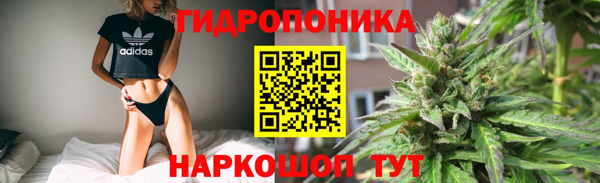 Бошки Шишки план Первоуральск